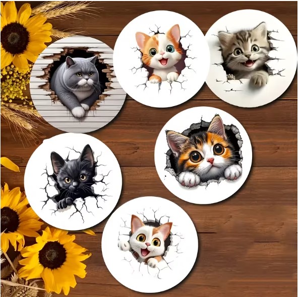 CHAT ESPIEGLES